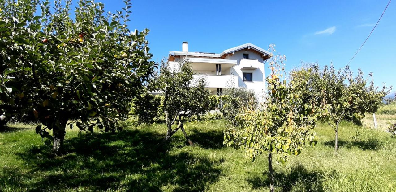 فيلا Al Settimo Miglio, Alloggio Agrituristico Treppo Grande المظهر الخارجي الصورة